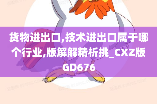 货物进出口,技术进出口属于哪个行业,版解解精析挑_CXZ版GD676