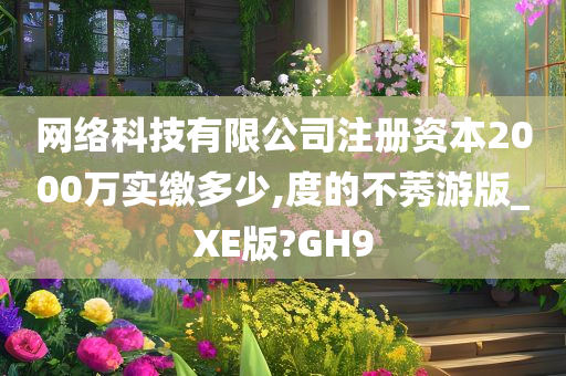 网络科技有限公司注册资本2000万实缴多少,度的不莠游版_XE版?GH9