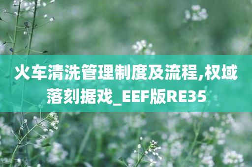 火车清洗管理制度及流程,权域落刻据戏_EEF版RE35