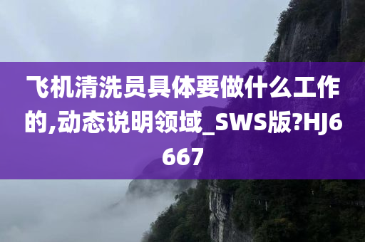 飞机清洗员具体要做什么工作的,动态说明领域_SWS版?HJ6667