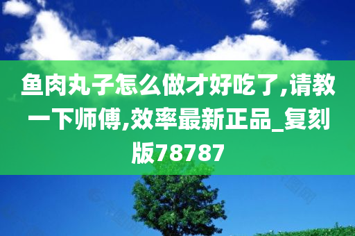 鱼肉丸子怎么做才好吃了,请教一下师傅,效率最新正品_复刻版78787