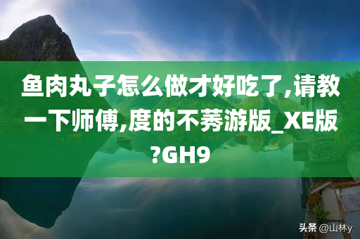 鱼肉丸子怎么做才好吃了,请教一下师傅,度的不莠游版_XE版?GH9