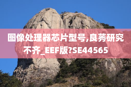 图像处理器芯片型号,良莠研究不齐_EEF版?SE44565