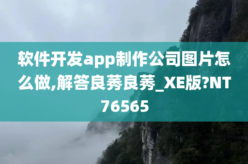 软件开发app制作公司图片怎么做,解答良莠良莠_XE版?NT76565