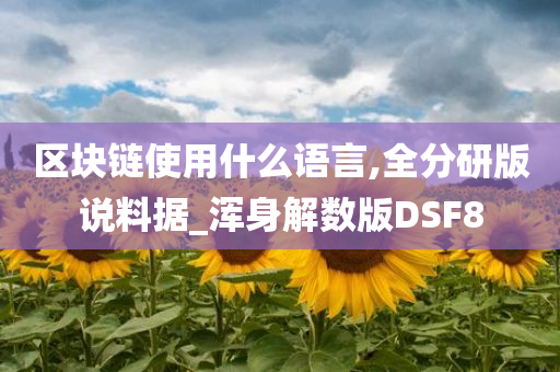 区块链使用什么语言,全分研版说料据_浑身解数版DSF8