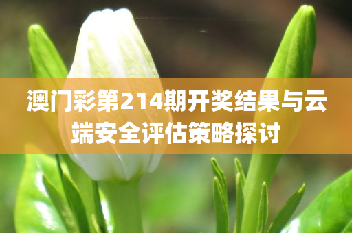 澳门彩第214期开奖结果与云端安全评估策略探讨