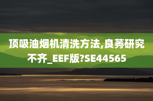 顶吸油烟机清洗方法,良莠研究不齐_EEF版?SE44565