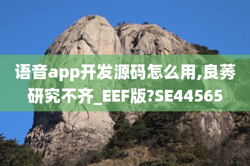 语音app开发源码怎么用,良莠研究不齐_EEF版?SE44565