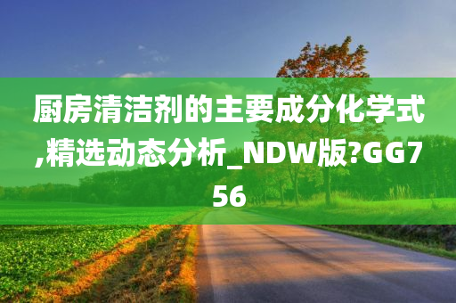 厨房清洁剂的主要成分化学式,精选动态分析_NDW版?GG756