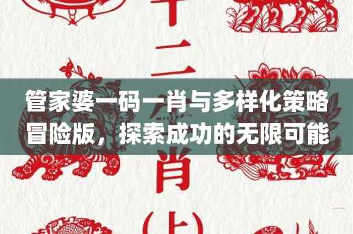 管家婆一码一肖与多样化策略冒险版，探索成功的无限可能