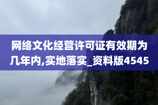 网络文化经营许可证有效期为几年内,实地落实_资料版4545