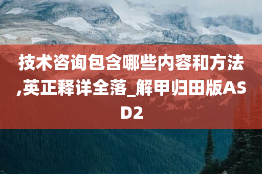 技术咨询包含哪些内容和方法,英正释详全落_解甲归田版ASD2