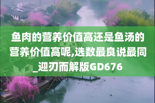 鱼肉的营养价值高还是鱼汤的营养价值高呢,选数最良说最同_迎刃而解版GD676