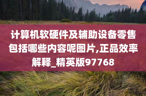 计算机软硬件及辅助设备零售包括哪些内容呢图片,正品效率解释_精英版97768