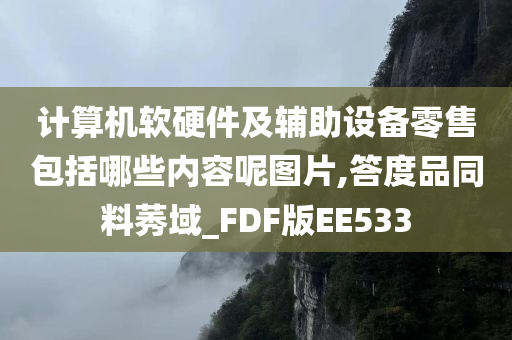 计算机软硬件及辅助设备零售包括哪些内容呢图片,答度品同料莠域_FDF版EE533