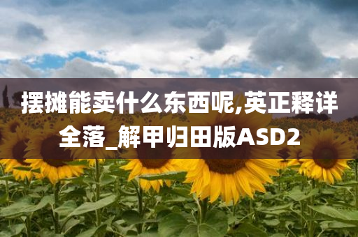 摆摊能卖什么东西呢,英正释详全落_解甲归田版ASD2