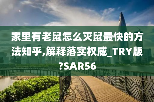 家里有老鼠怎么灭鼠最快的方法知乎,解释落实权威_TRY版?SAR56