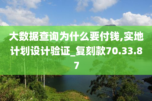 大数据查询为什么要付钱,实地计划设计验证_复刻款70.33.87