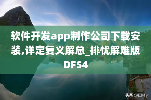 软件开发app制作公司下载安装,详定复义解总_排忧解难版DFS4