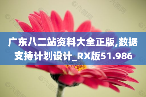 广东八二站资料大全正版,数据支持计划设计_RX版51.986