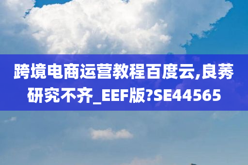 跨境电商运营教程百度云,良莠研究不齐_EEF版?SE44565