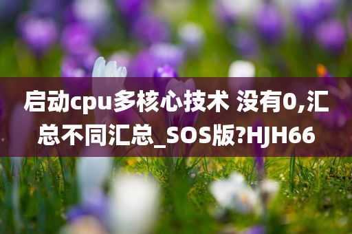 启动cpu多核心技术 没有0,汇总不同汇总_SOS版?HJH66