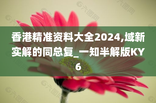 香港精准资料大全2024,域新实解的同总复_一知半解版KY6