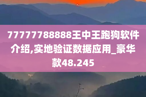 77777788888王中王跑狗软件介绍,实地验证数据应用_豪华款48.245