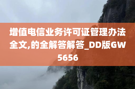 增值电信业务许可证管理办法全文,的全解答解答_DD版GW5656