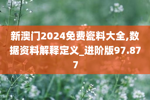 新澳门2024免费瓷料大全,数据资料解释定义_进阶版97.877