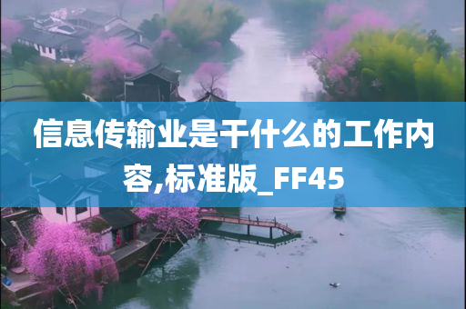 信息传输业是干什么的工作内容,标准版_FF45