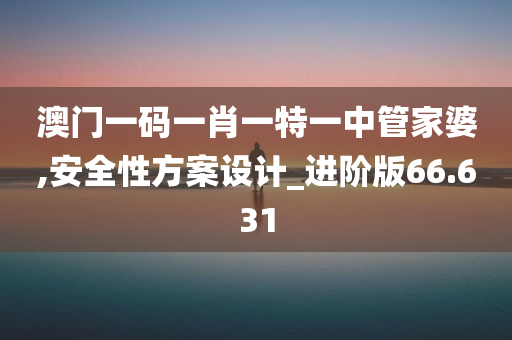 澳门一码一肖一特一中管家婆,安全性方案设计_进阶版66.631