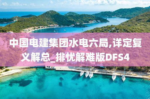 中国电建集团水电六局,详定复义解总_排忧解难版DFS4