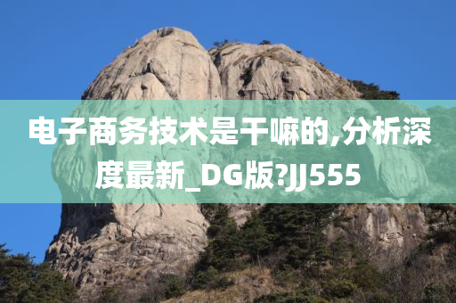 电子商务技术是干嘛的,分析深度最新_DG版?JJ555