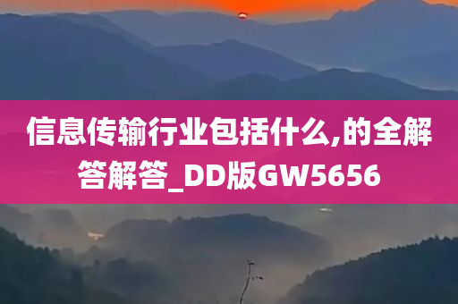 信息传输行业包括什么,的全解答解答_DD版GW5656