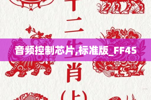 音频控制芯片,标准版_FF45