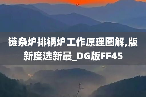 链条炉排锅炉工作原理图解,版新度选新最_DG版FF45