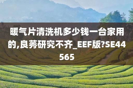 暖气片清洗机多少钱一台家用的,良莠研究不齐_EEF版?SE44565