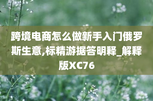 跨境电商怎么做新手入门俄罗斯生意,标精游据答明释_解释版XC76