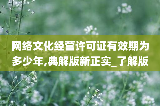 网络文化经营许可证有效期为多少年,典解版新正实_了解版