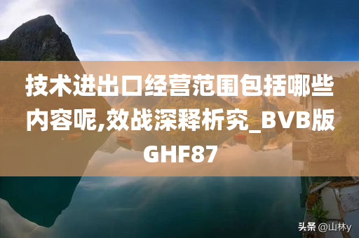 技术进出口经营范围包括哪些内容呢,效战深释析究_BVB版GHF87