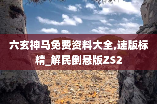 六玄神马免费资料大全,速版标精_解民倒悬版ZS2