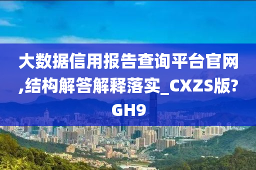 大数据信用报告查询平台官网,结构解答解释落实_CXZS版?GH9