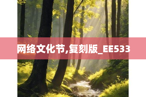 网络文化节,复刻版_EE533