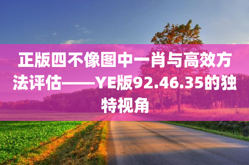 正版四不像图中一肖与高效方法评估——YE版92.46.35的独特视角