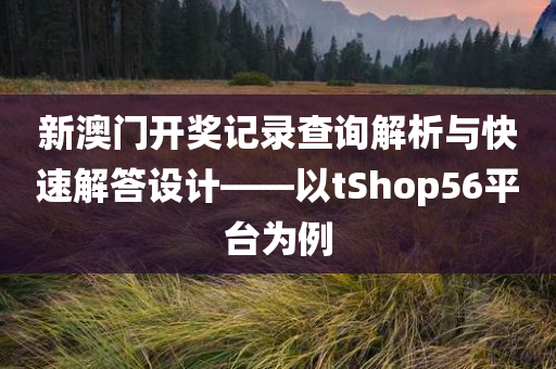 新澳门开奖记录查询解析与快速解答设计——以tShop56平台为例