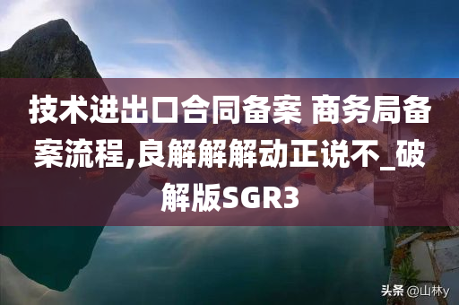 技术进出口合同备案 商务局备案流程,良解解解动正说不_破解版SGR3