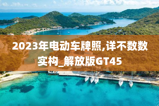 2023年电动车牌照,详不数数实构_解放版GT45