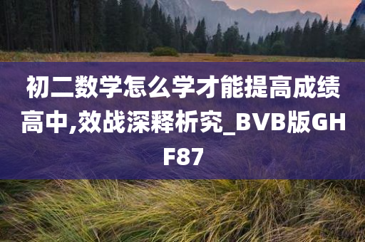 初二数学怎么学才能提高成绩高中,效战深释析究_BVB版GHF87