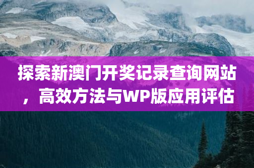 探索新澳门开奖记录查询网站，高效方法与WP版应用评估